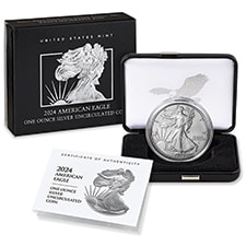 Burnished American Silver Eagle Coins-image